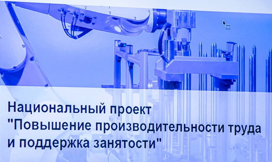 О производительности труда и поддержке занятости в рамках нацпроекта.